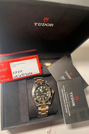 Tudor Black Bay Automatique Acier/Or Réf. 79733N 2020